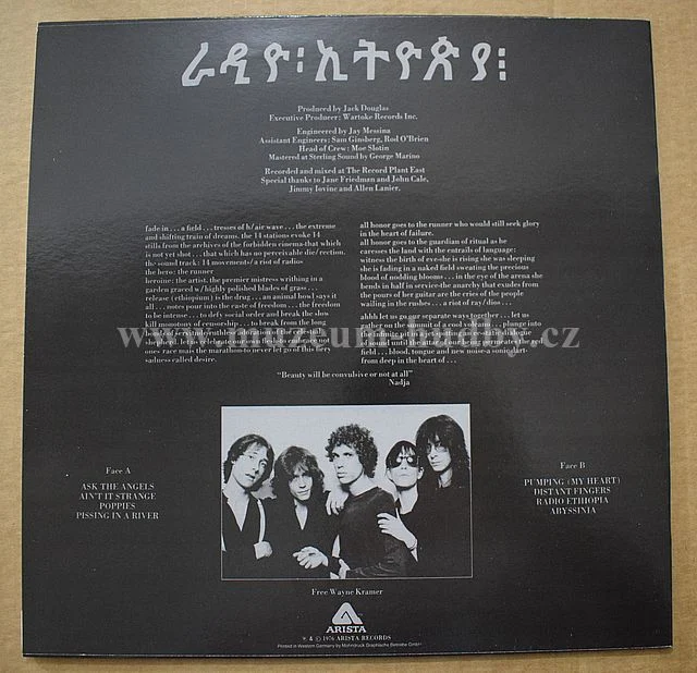 Patti Smith Group - Obrázek 2
