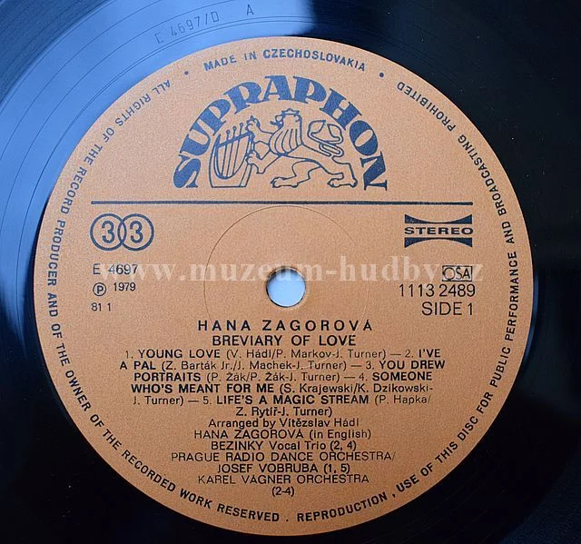Hana Zagorová - Obrázek 6