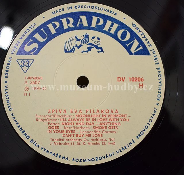 Eva Pilarová - Obrázek 6