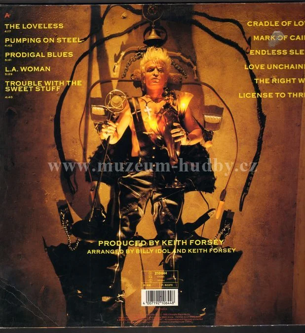 Billy Idol - Obrázek 2