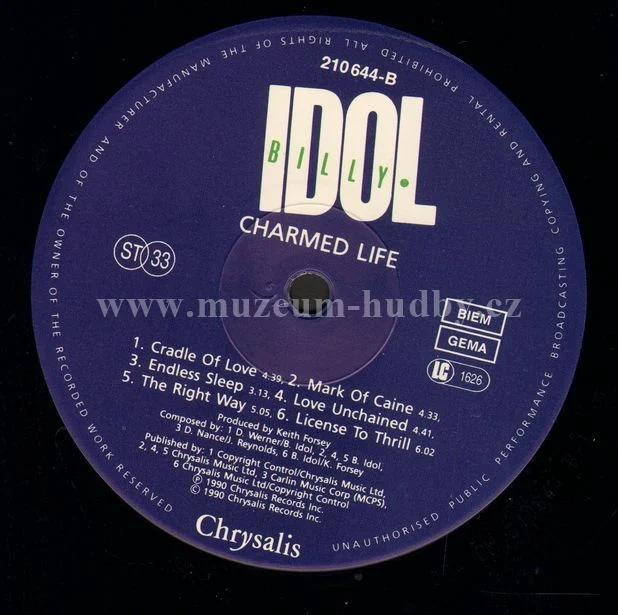Billy Idol - Obrázek 6