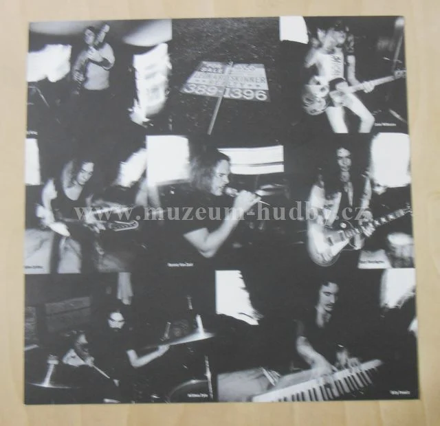 Lynyrd Skynyrd - Obrázek 4