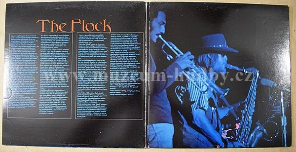 Flock - Obrázek 2