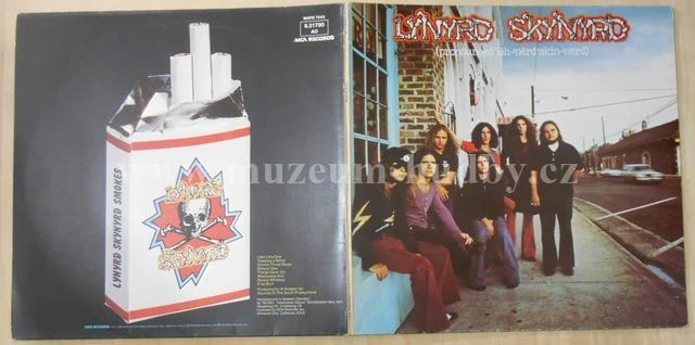 Lynyrd Skynyrd - Obrázek 3