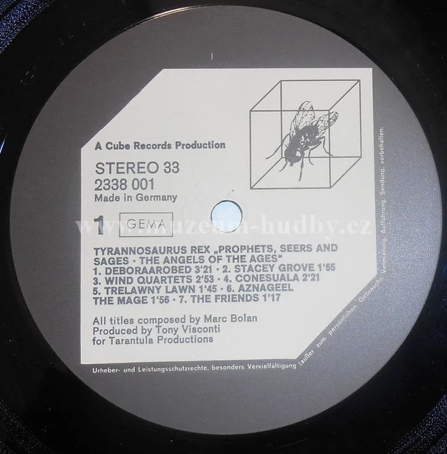 Tyrannosaurus Rex - Obrázek 5