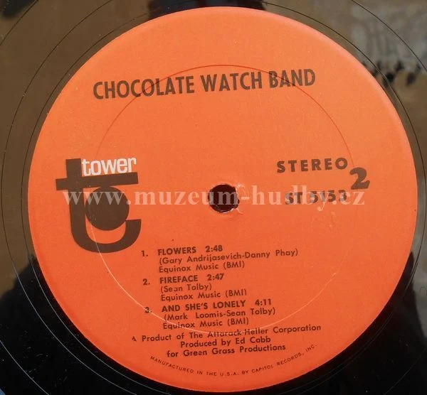 Chocolate Watchband - Obrázek 3