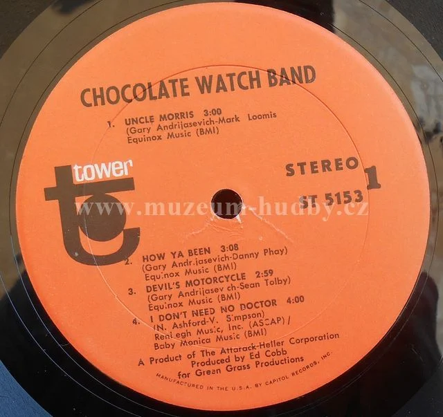 Chocolate Watchband - Obrázek 5