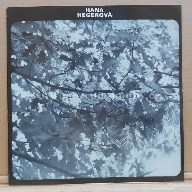 Hana Hegerová - Obrázek 3