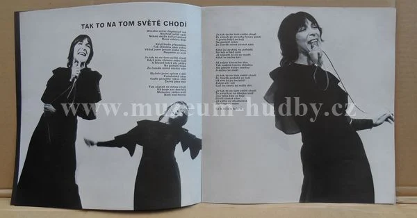 Hana Hegerová - Obrázek 6