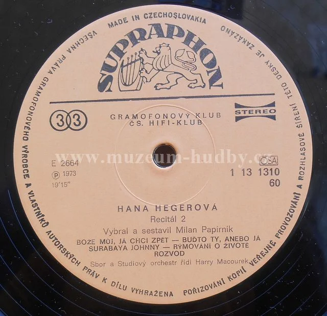 Hana Hegerová - Obrázek 14