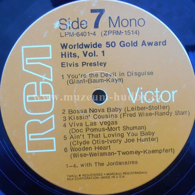 Elvis - Obrázek 4