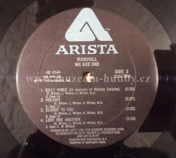 Mandrill - Obrázek 3