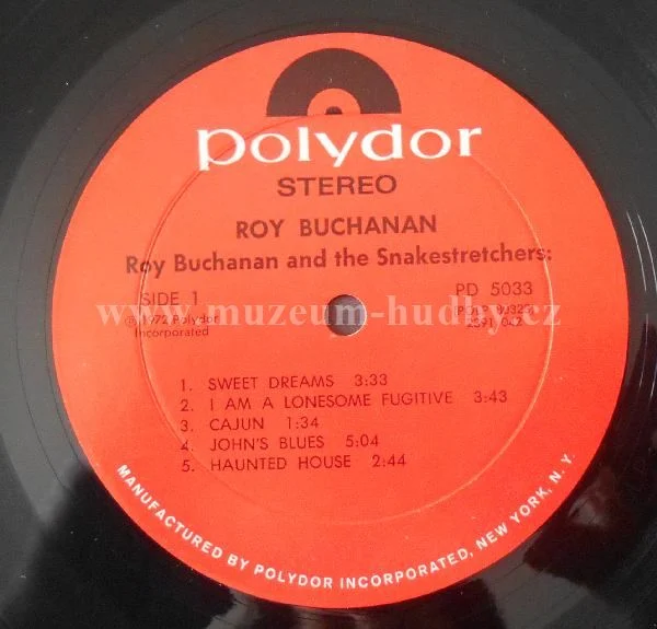 Roy Buchanan - Obrázek 3