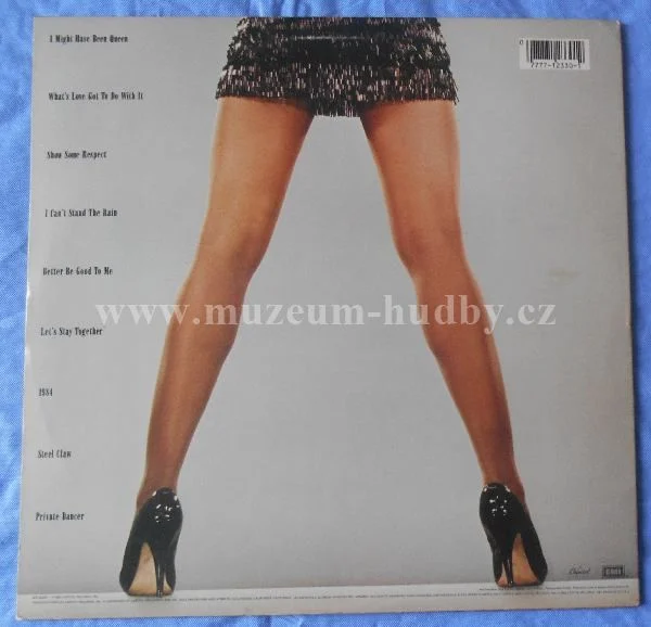 Tina Turner - Obrázek 2