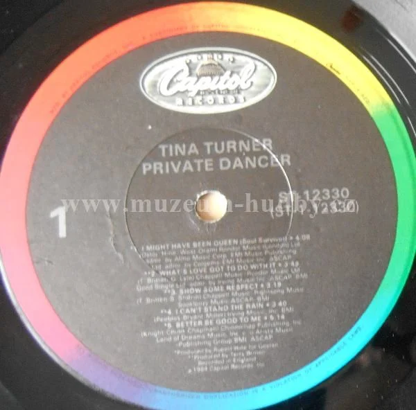 Tina Turner - Obrázek 6