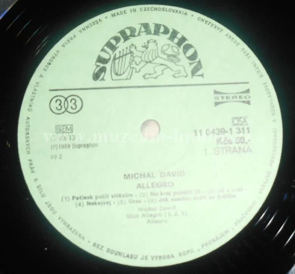Michal David - Allegro - Obrázek 3