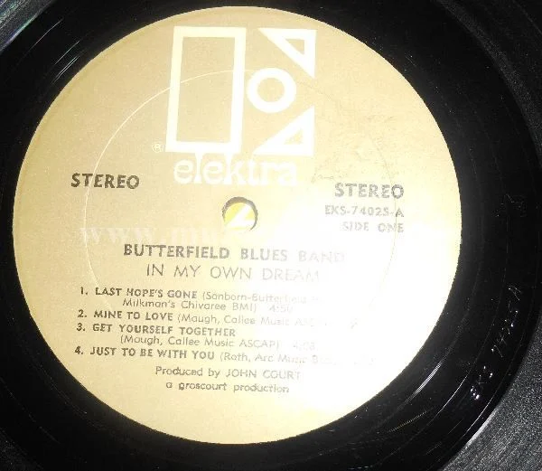 Butterfield Blues Band - Obrázek 5