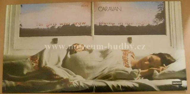 Caravan - Obrázek 3