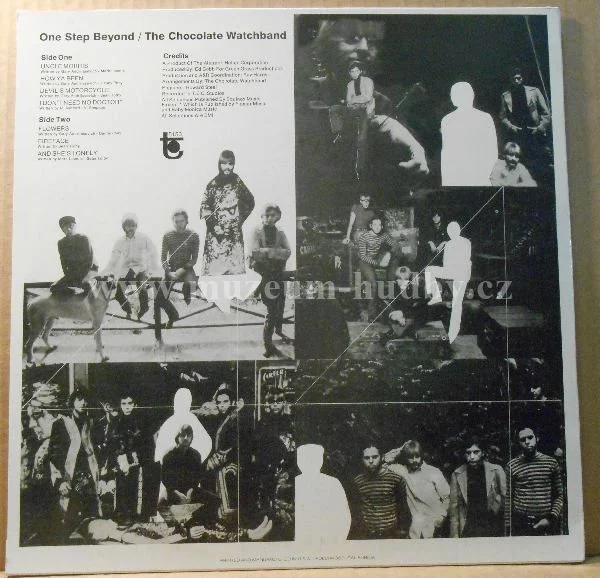 Chocolate Watchband - Obrázek 2