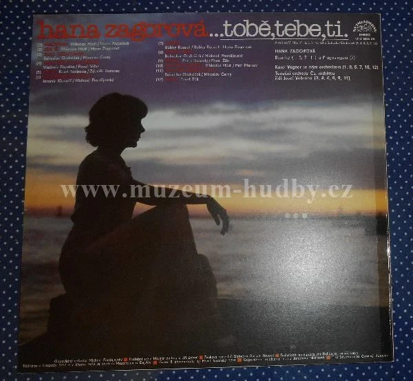 Hana Zagorová - Obrázek 2