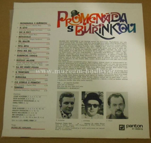 Buřinky - Obrázek 2