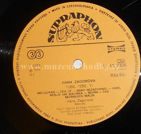 Hana Zagorová - Obrázek 3