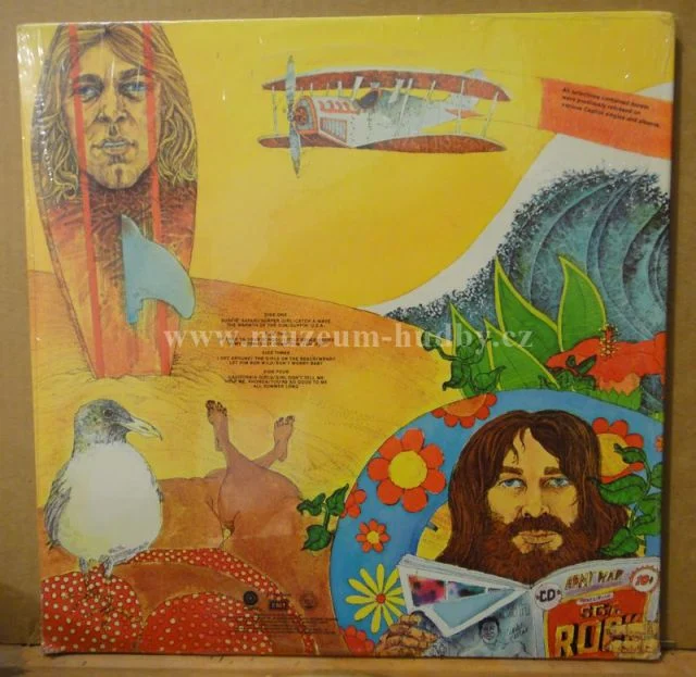 Beach Boys - Obrázek 2