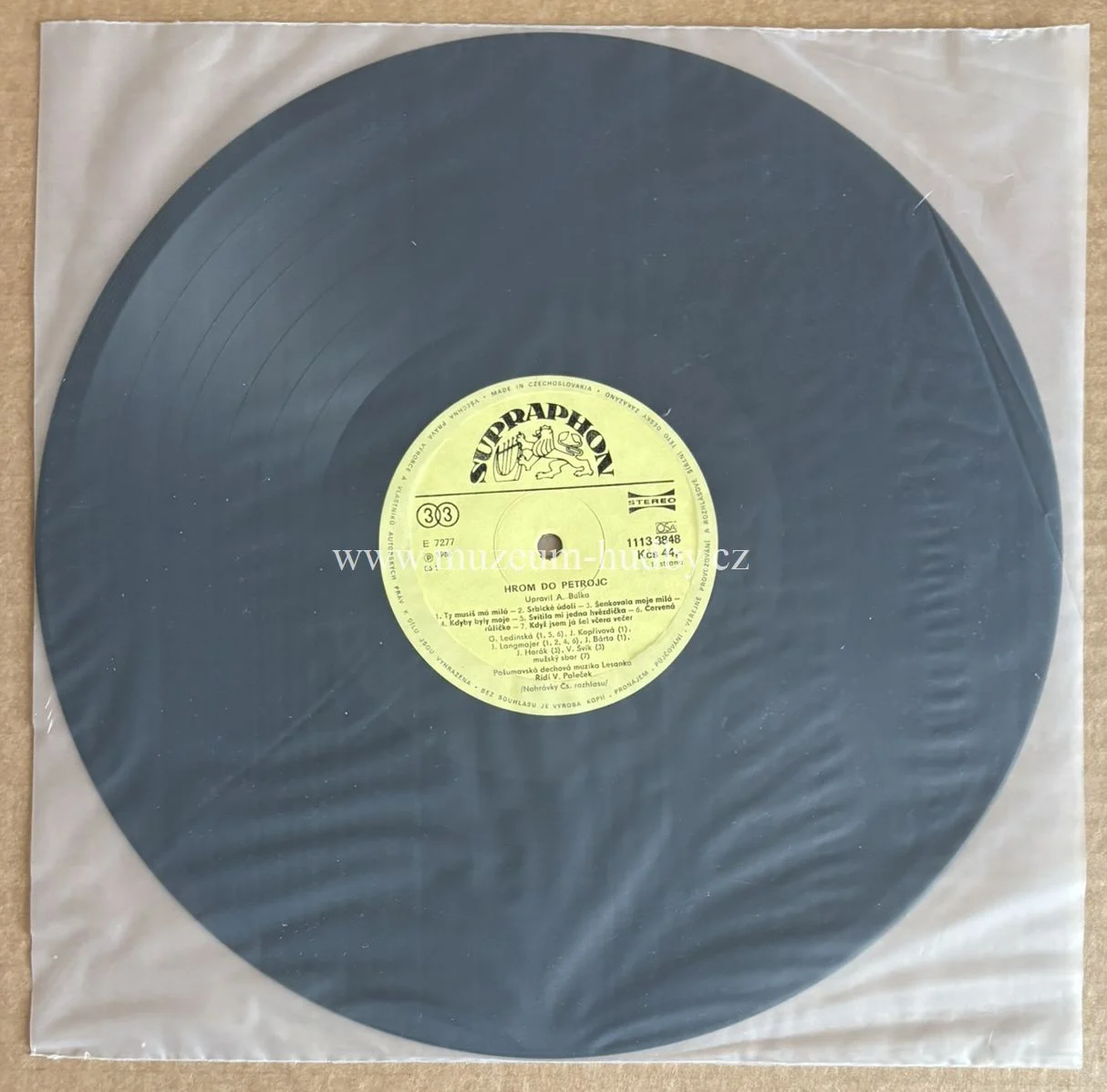 Pošumavská Dechová Muzika Lesanka - Obrázek 3