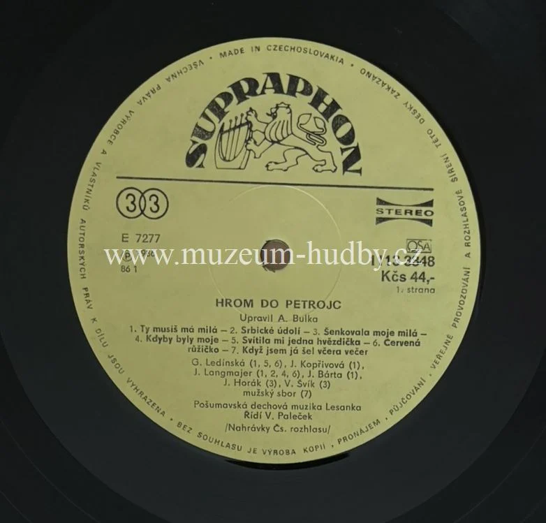 Pošumavská Dechová Muzika Lesanka - Obrázek 4