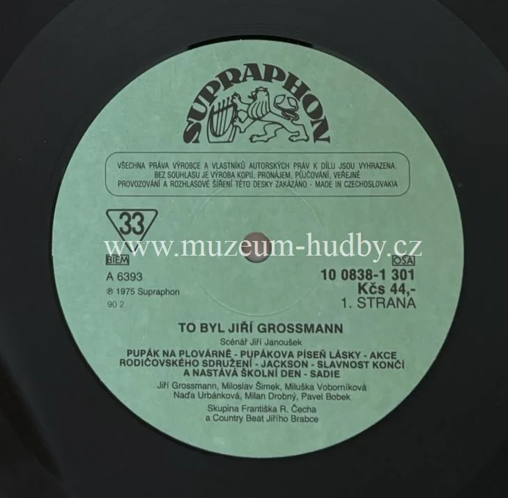 Jiří Grossmann - Obrázek 7