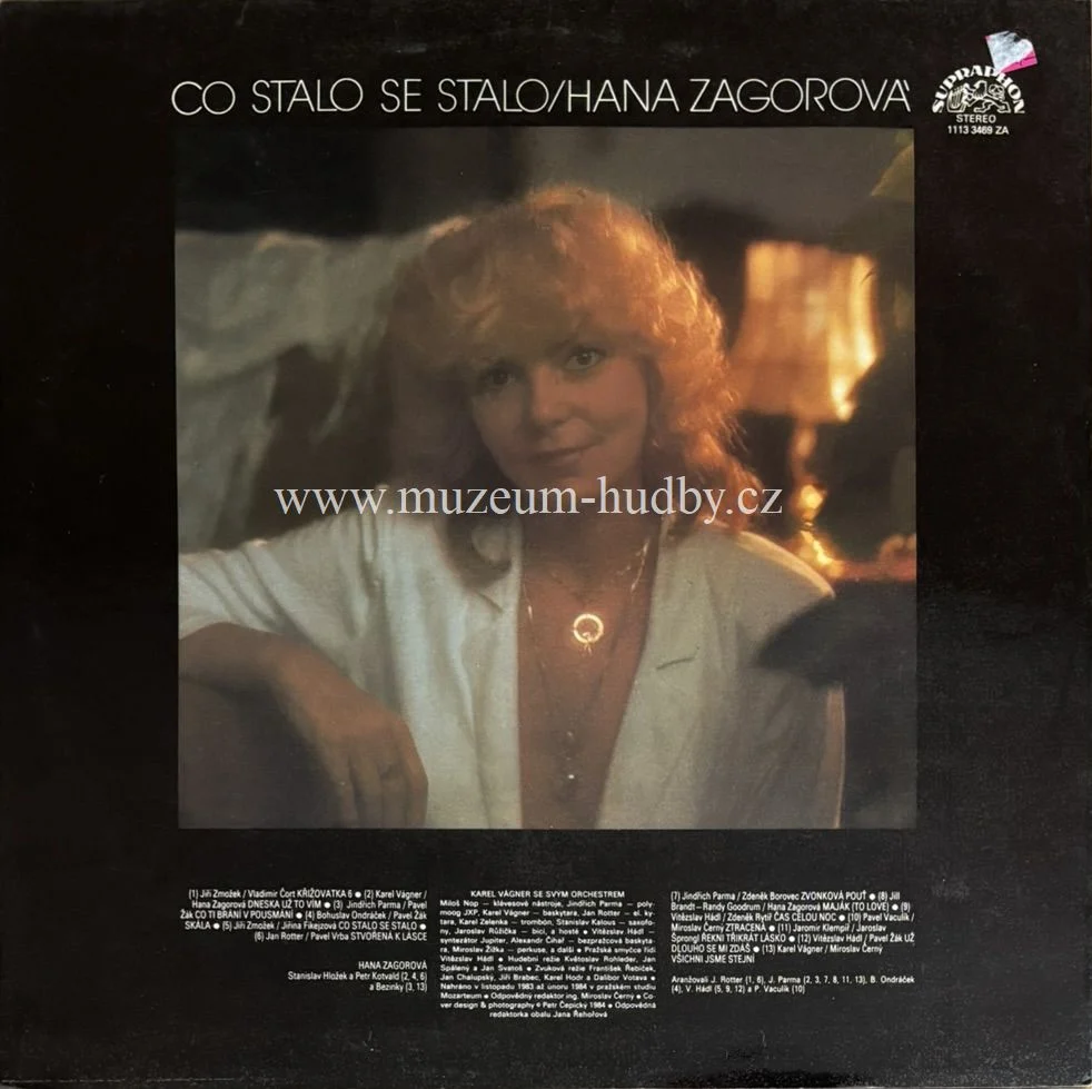 Hana Zagorová - Obrázek 2